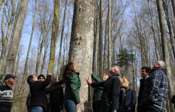 Darney-la-Vôge, Forêt d’Exception®