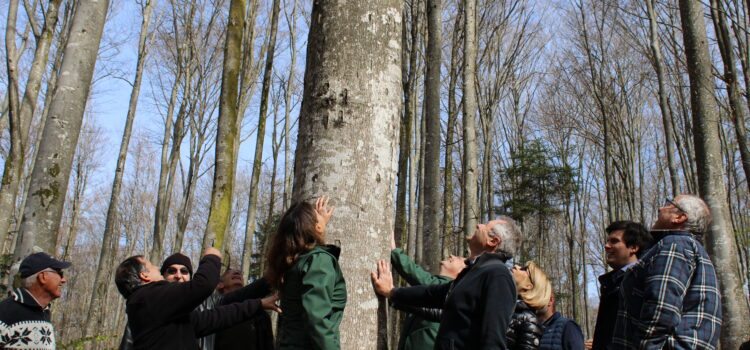 Darney-la-Vôge, Forêt d’Exception®