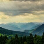 Lancement du Fonds de Dotation “Mon Arbre, Ma Forêt, Ma Planète”