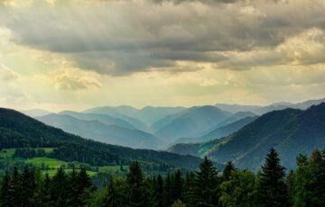 Lancement du Fonds de Dotation “Mon Arbre, Ma Forêt, Ma Planète”